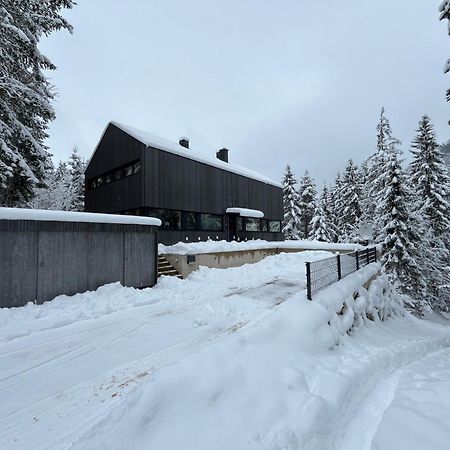 Chalet Dachstein Рамзау-ам-Дахштайн Екстер'єр фото